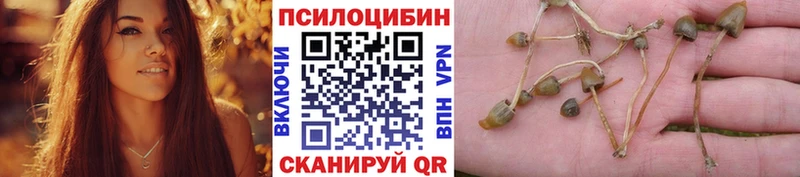 Галлюциногенные грибы MAGIC MUSHROOMS  купить  цена  Аркадак 